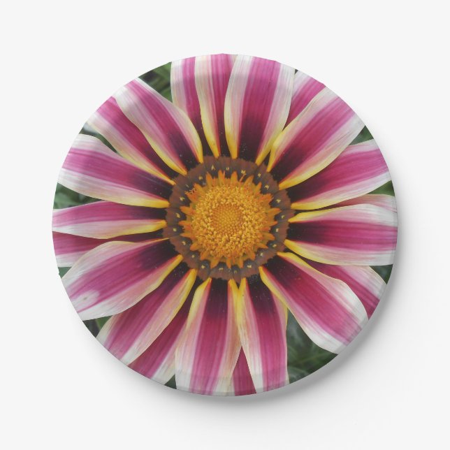 Hereford Paper Plates (Front)