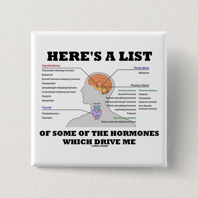 Here's A List Of Some Of The Hormones (Endocrine) Button (Front)