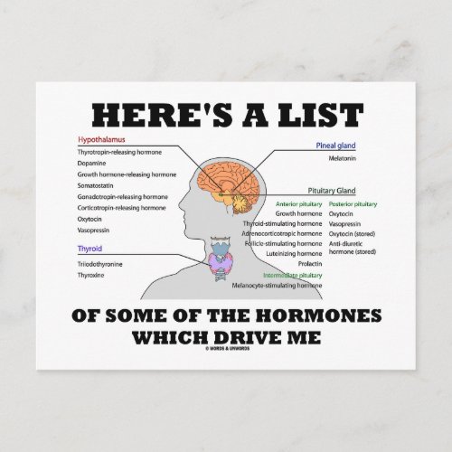 Heres A List Of Some Of The Hormones Endocrine Postcard
