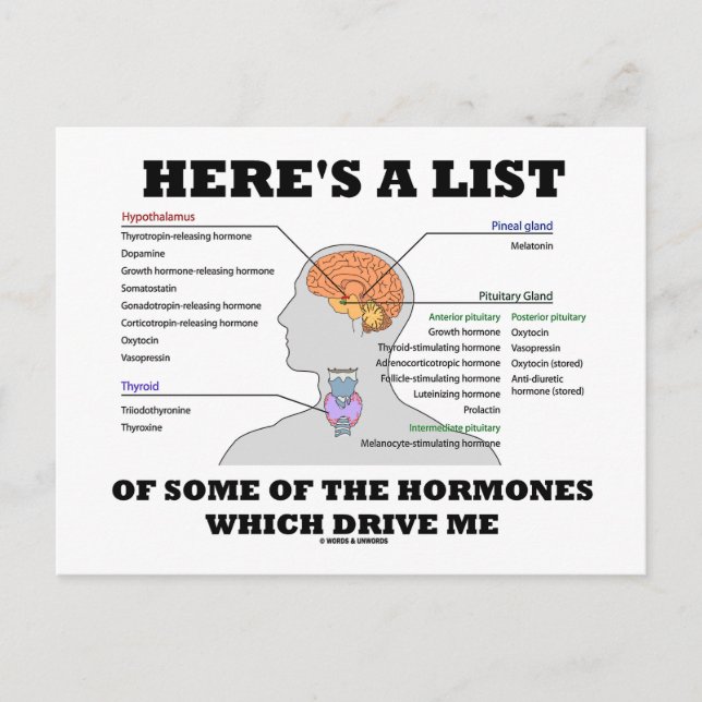 Here's A List Of Some Of The Hormones (Endocrine) Postcard (Front)