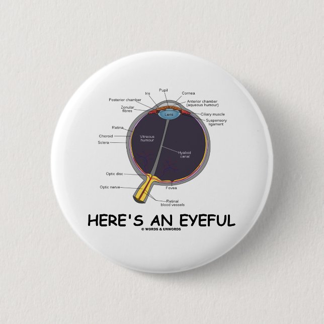 Here's An Eyeful (Eye Anatomy Humor) Button (Front)