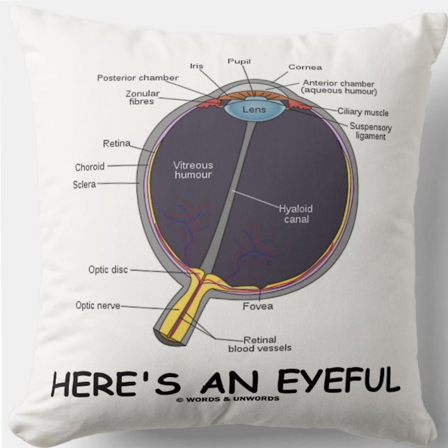 Here's An Eyeful (Eye Anatomy Humor) Throw Pillow (Throw pillow featuring human eye anatomy along with the caption "Here's An Eyeful")