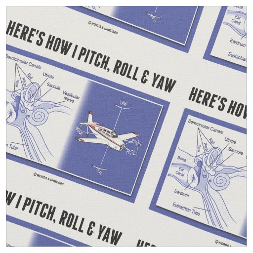 Here's How I Pitch Roll And Yaw Inner Ear Anatomy Fabric