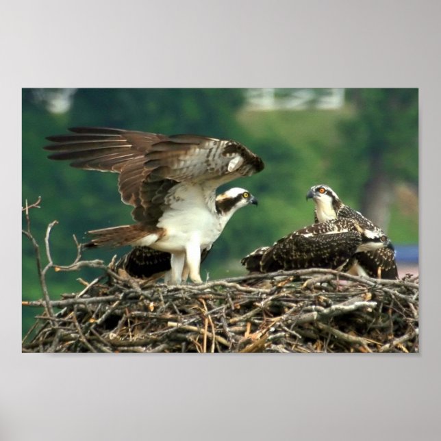 Here's How These Things Work Poster (Front)