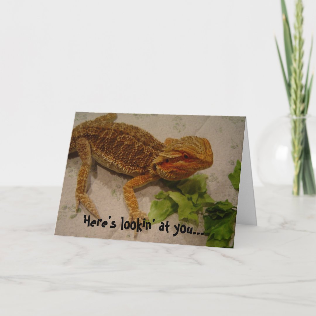 Here's Lookin' at You, Bearded Dragon Birthday Card | Zazzle