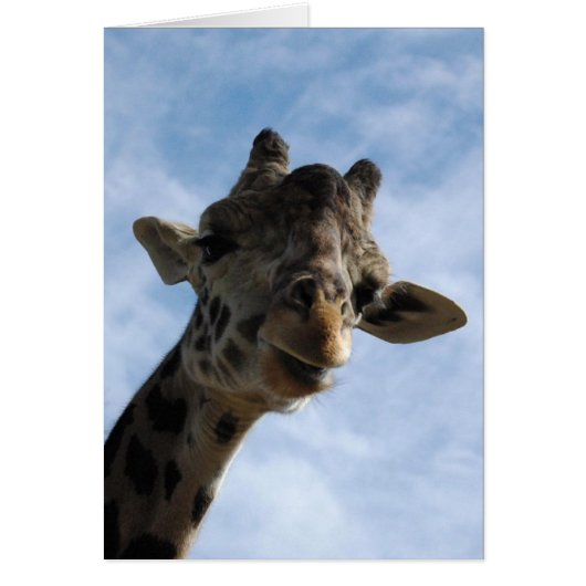 Here's looking at you! (Front)