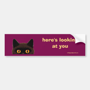 here's looking at you bumper sticker