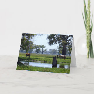 Here's looking at you card