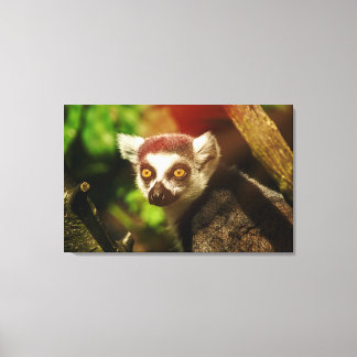 Here's looking at you kid canvas print