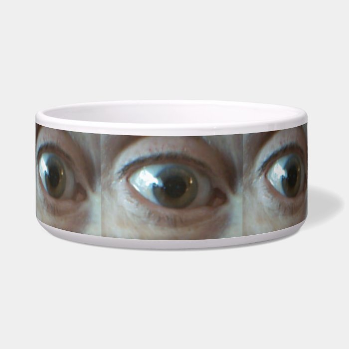 Here's Looking at you Kid, Dog Bowl