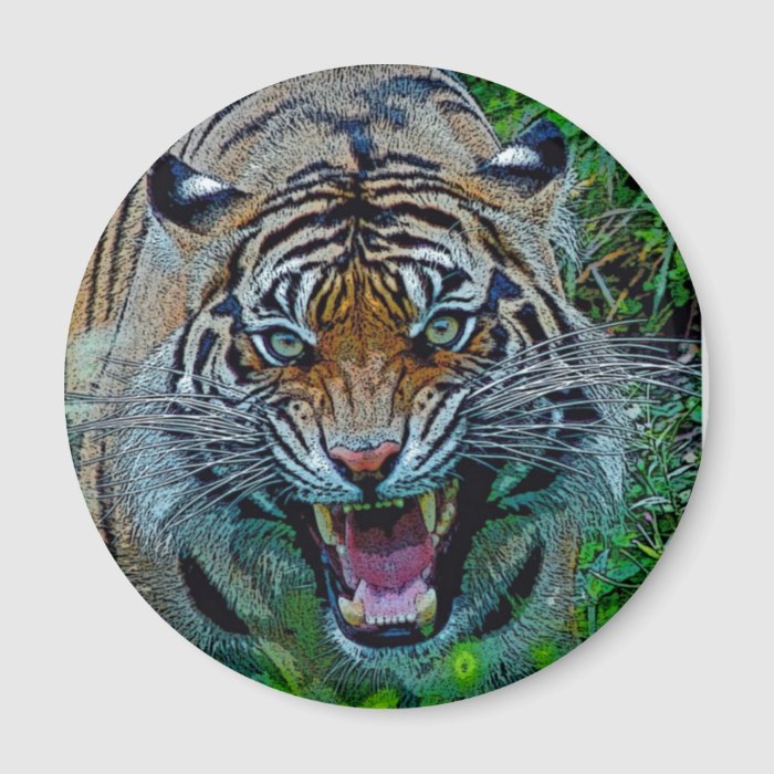 Here's Looking At You Tiger Refrigerator Magnet