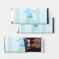 Here's The Scoop Ice Cream Summer Baby Shower