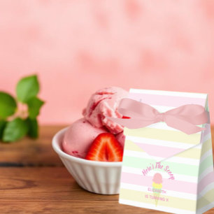Here's The Scoop Ice Cream Summer Birthday Favor Boxes