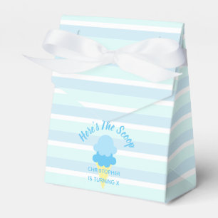 Here's The Scoop Ice Cream Summer Boy Birthday Favor Boxes