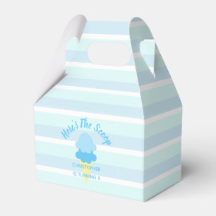 Here's The Scoop Ice Cream Summer Boy Birthday Favor Boxes