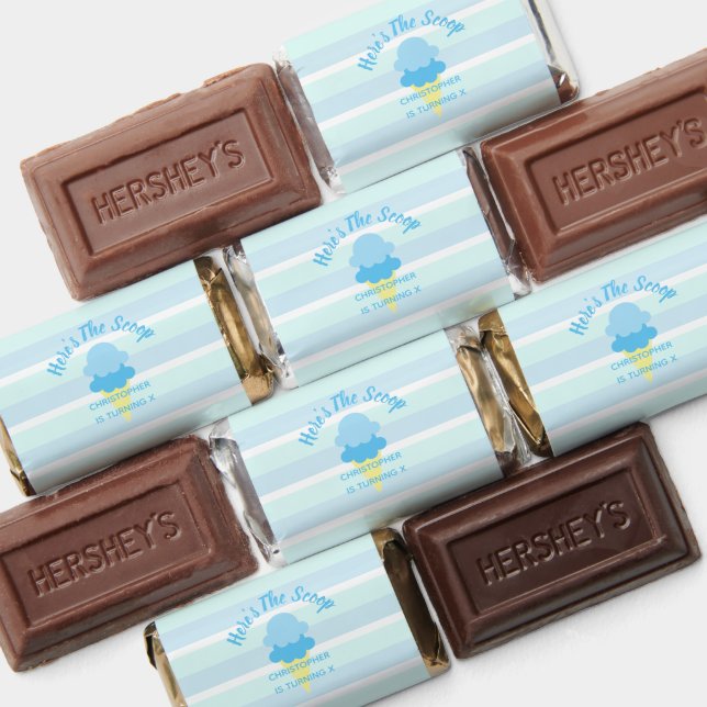 Here's The Scoop Ice Cream Summer Boy Birthday Hershey's Miniatures (Assorted)