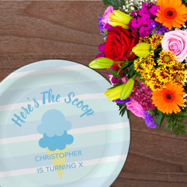 Here's The Scoop Ice Cream Summer Boy Birthday Paper Plates (Creator Uploaded)