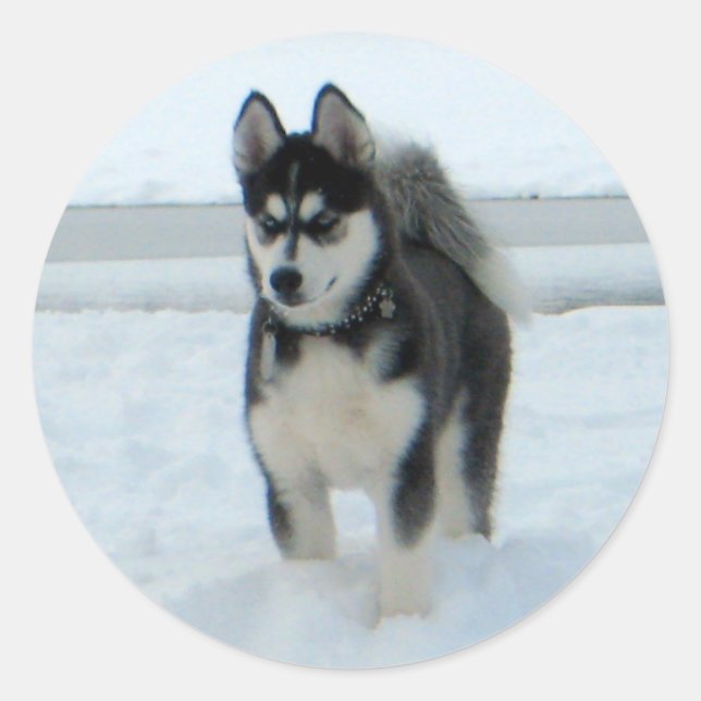 Here's Trouble Classic Round Sticker (Front)