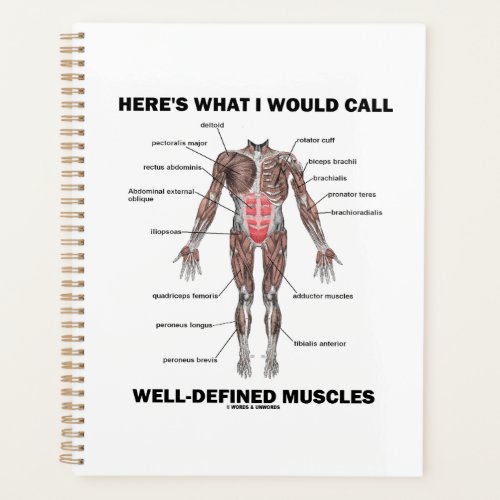 Heres What I Would Call Well_Defined Muscles Planner