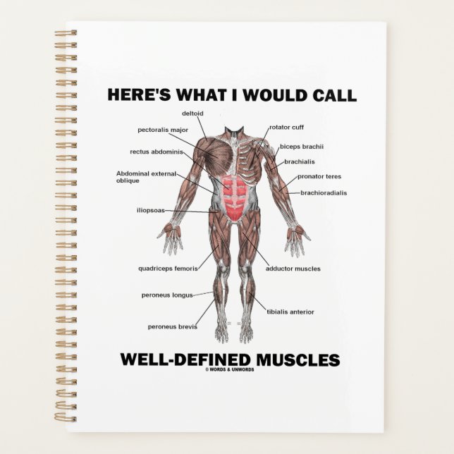 Here's What I Would Call Well-Defined Muscles Planner (Front)