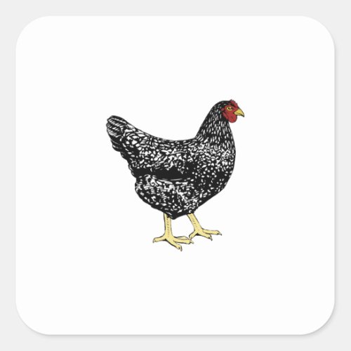 Heritage Breed Laying Hen _ Barred Plymouth Rock Square Sticker