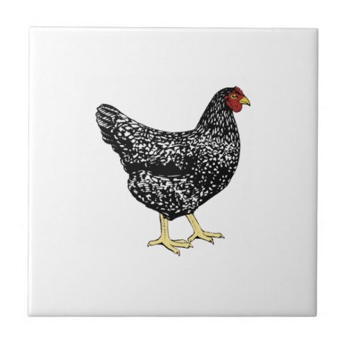 Heritage Breed Laying Hen _ Barred Plymouth Rock Tile