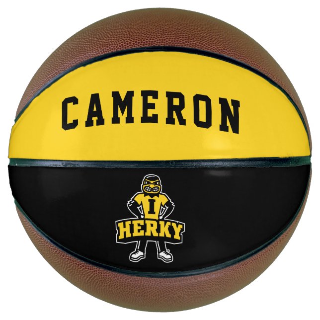 Herky Mascot Basketball (Front)
