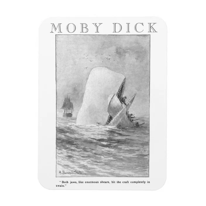 Herman Melville Moby Dick Quote Magnet Zazzle Com