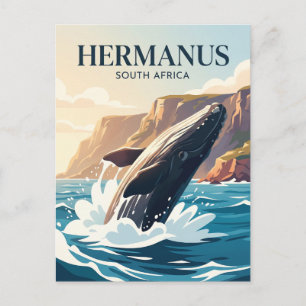 Hermanus South Africa Postcard