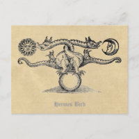 Hermes Bird Alchemy