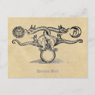 Hermes Bird Alchemy Postcard