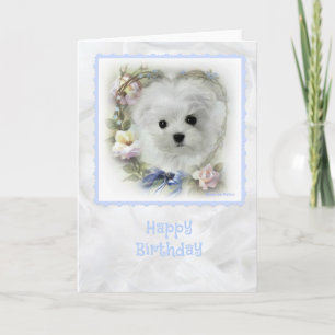 Hermes the Maltese Birthday Card