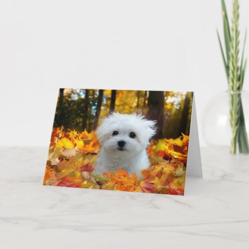 Hermes the Maltese Blank Greeting Card