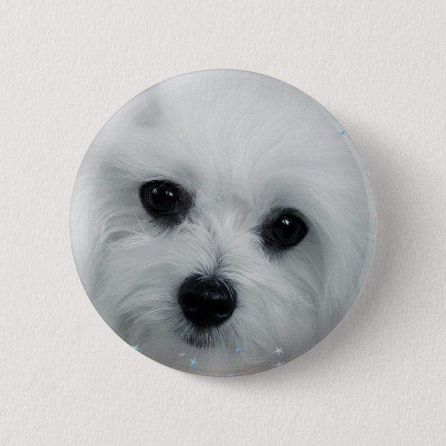 Hermes the Maltese Button (Front)