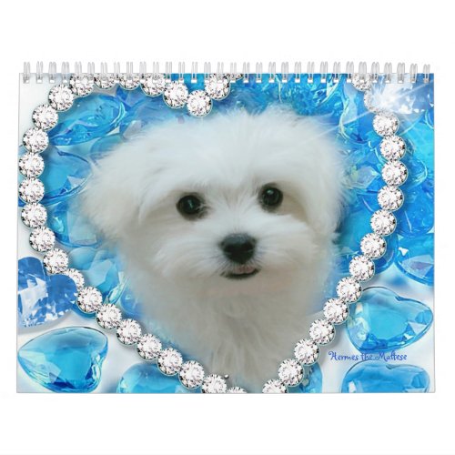 Hermes the Maltese Calendar