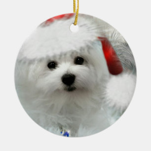 Hermes the Maltese Ceramic Ornament