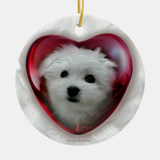 Hermes the Maltese Ceramic Ornament (Front)