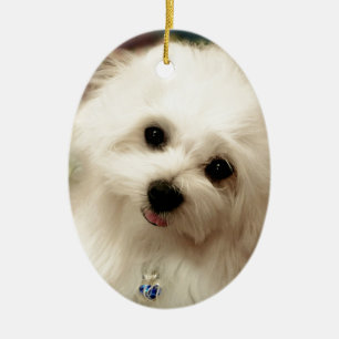 Hermes the Maltese Ceramic Ornament