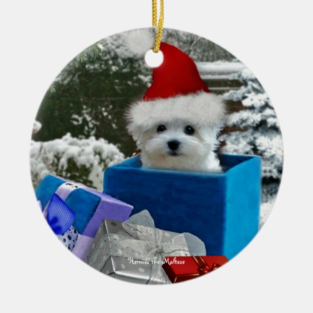 Hermes the Maltese Ceramic Ornament (Front)