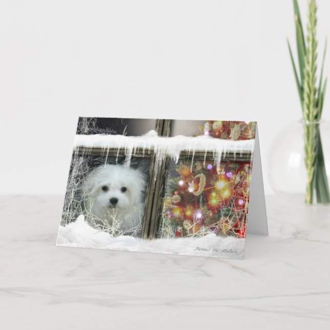 Hermes the Maltese Christmas Card (Front)