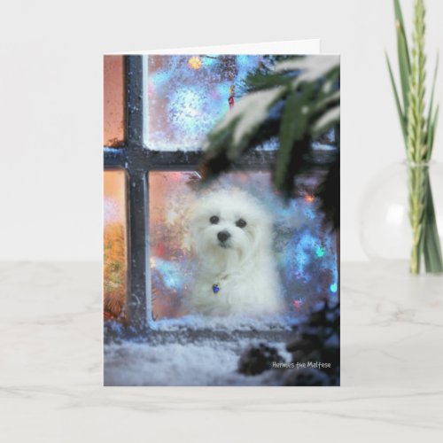 Hermes the Maltese Christmas Card