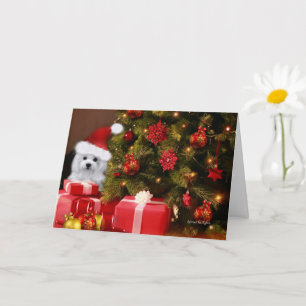 Hermes the Maltese Christmas Greeting Card