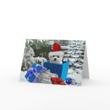 Hermes the Maltese Christmas Greeting Card