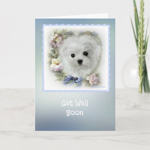 Hermes the Maltese Get Well Greeting Card