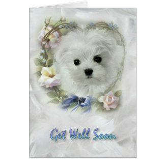 Get Well Soon Puppy Cards | Zazzle