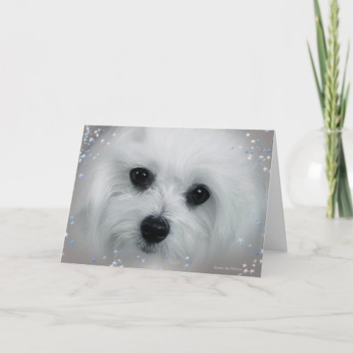 Hermes the Maltese Holiday Card