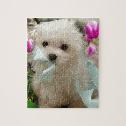 Hermes the Maltese Jigsaw Puzzle