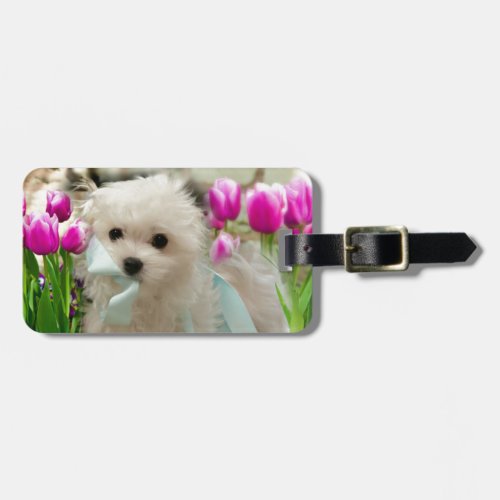 Hermes the Maltese Luggage Tag