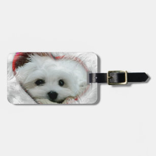Hermes the Maltese Luggage Tag