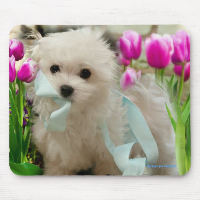 Hermes the Maltese Mouse Pad (Front)